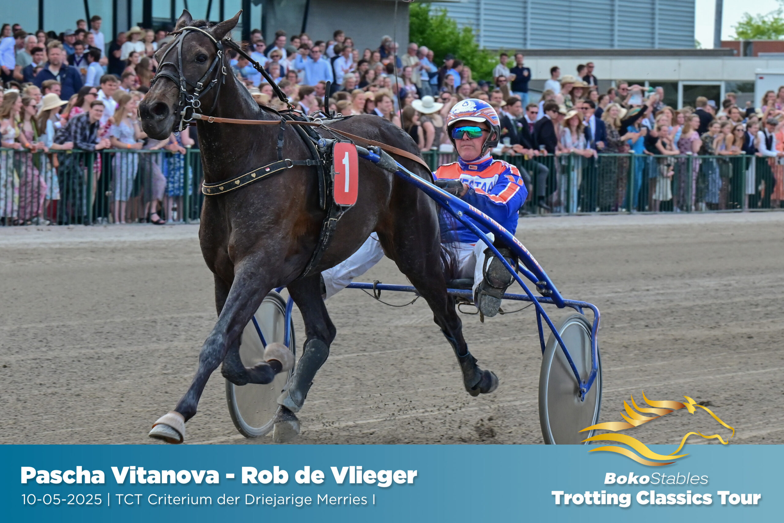 10-05-2025-wolvega-02