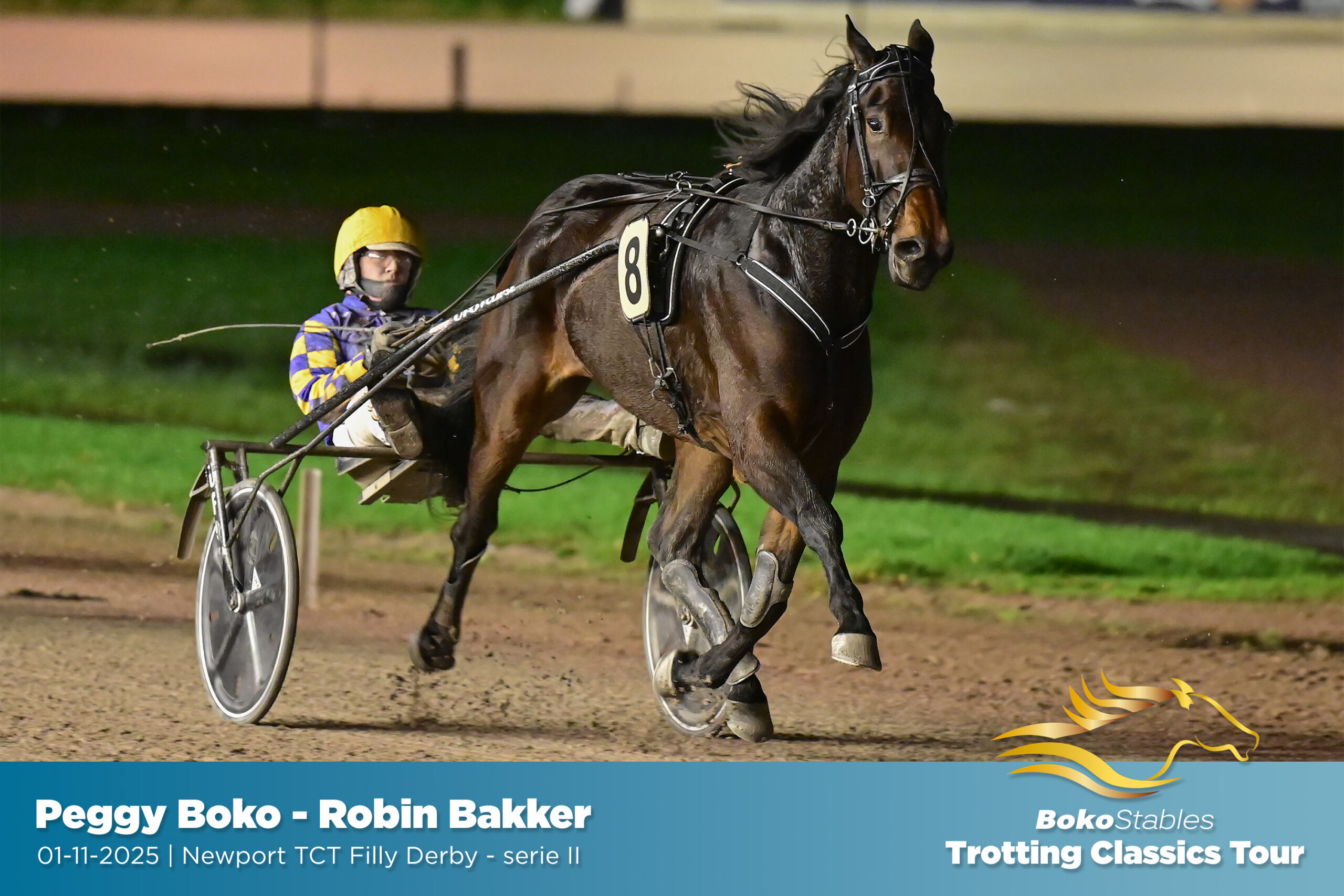 01-11-2025-wolvega-4