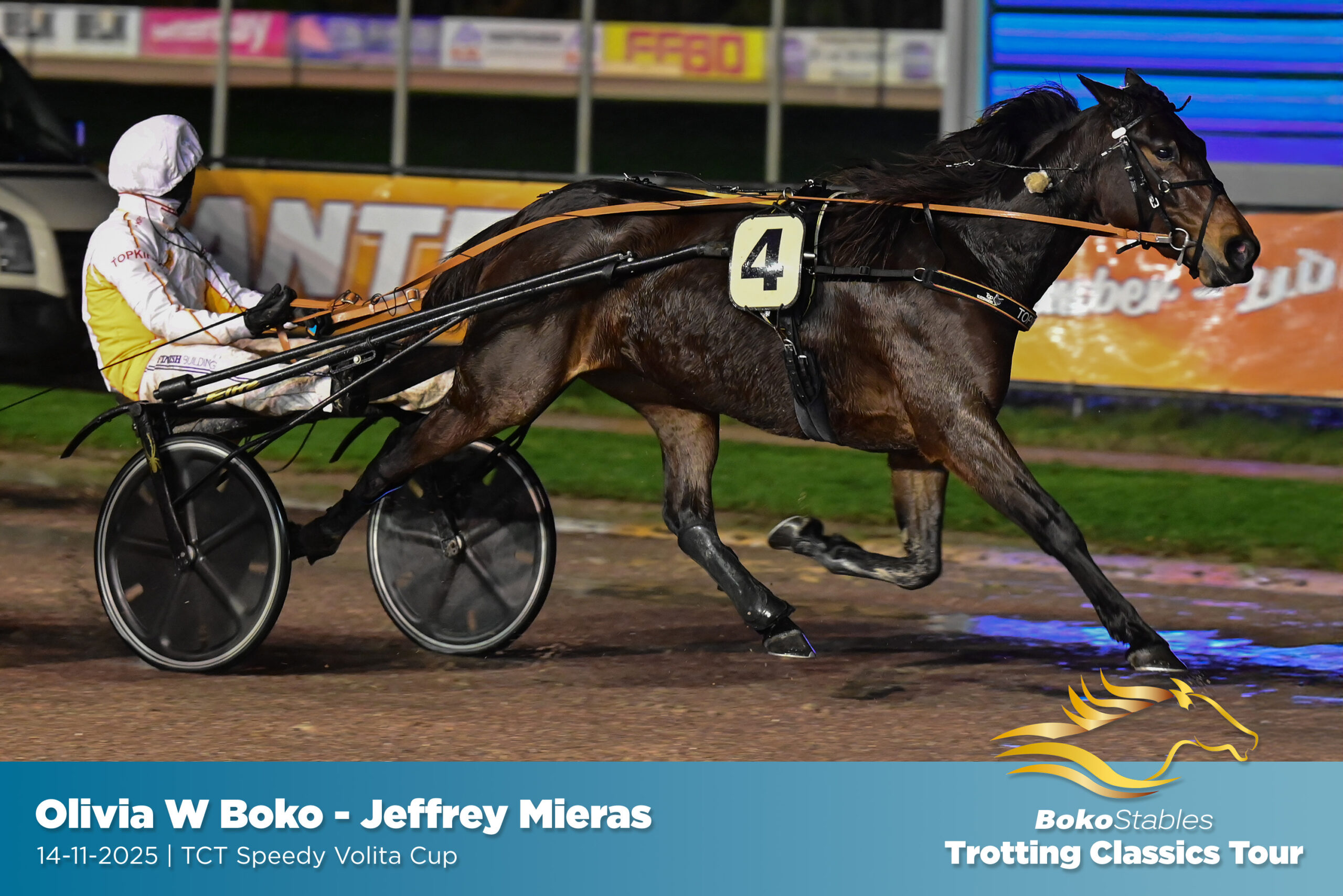 14-11-2025-wolvega-5